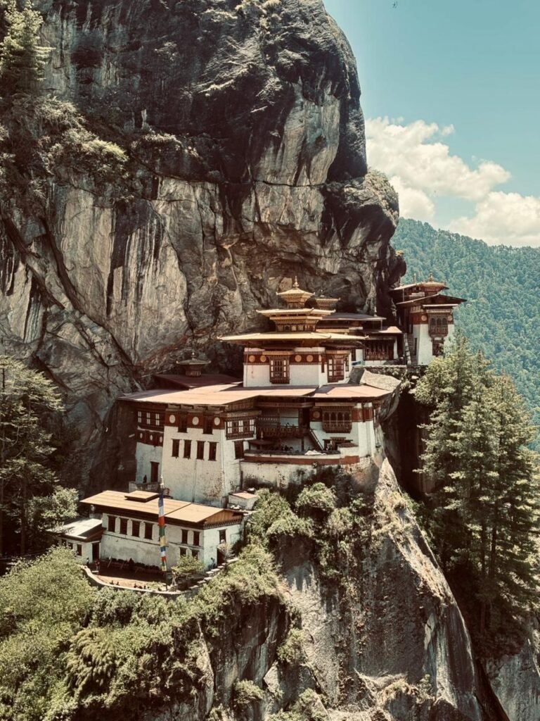 tigers nest